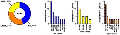 Germline DNA damage response gene mutations as predictive biomarkers of immune checkpoint inhibitor efficacy